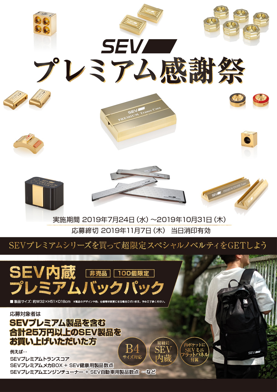 SEVルーパー typeM