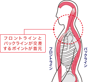 首元からフォームが崩れ始める